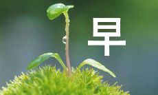 用正能量的语言打造的启迪心灵的10月早晨问候句子