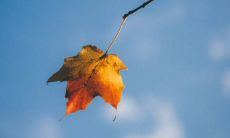 含有唯美描写秋天景色的句子合集，赋予你秋天的美好感受