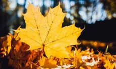 深度洞察人性与社会现实：揭示人心深处的真实面貌