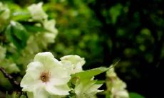 一份短信祝福：为客户们送上温暖的早安问候！