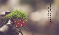 适合朋友圈发表的下雨天说说句子，让你的朋友圈增添些许文艺气息！