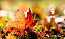 精选优美的诗词，颂赞秋分的美好：秋分诗词集锦