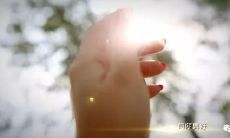 寻觅唯美之美：饱含深情的句子系列，愿有你在来尝一口甜美的诗意涌泉！