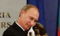 无意中收集到的让人唏嘘又无法承受的句子，让人心酸无奈