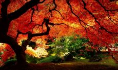 将 "早上美容院短信问候语" 改为更长的标题：