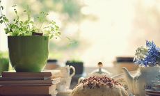 我想和大家一起分享一下我的疫情结束后的第一件事情