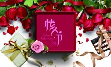 情人节送女朋友一段话