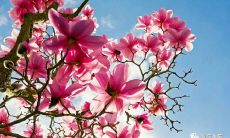 疫情快结束了的句子说说心情短语 疫情终于结束了的说说